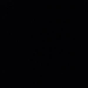 Meet your Posher, Luis jr.